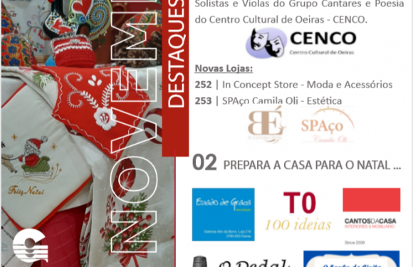Newsletter Novembro 2020