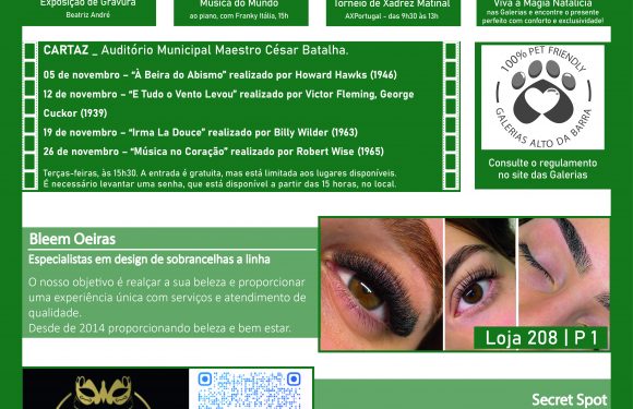 Newsletter Novembro 2024